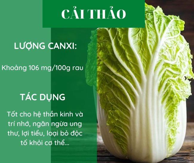 Napa Cabbage