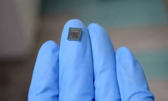 High-accuracy olfactory sensor.