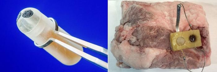 Sensor measuring glucose levels in the gut (left) and sensor indicating proper freezing of food (right).