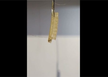 cambridge graduate expert group develops materials from salt and gelatin 118964