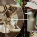 camera detects objects in low vision conditions 121097