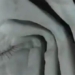 can see inside the mouth of the alligator after swallowing the camera 120184