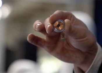 can you experiment with chip plants in which people in 6 months 124515