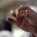 can you experiment with chip plants in which people in 6 months 124515