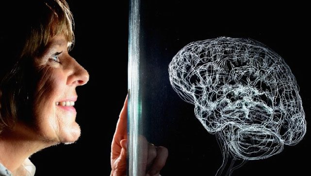 Immune aging can lead to cancer, heart disease...
