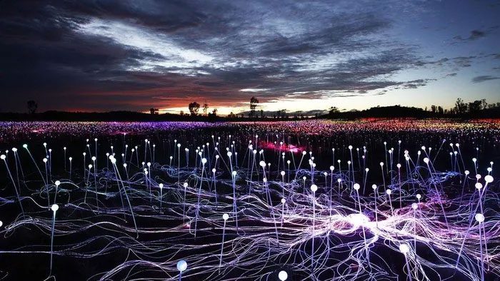 The Field of Light