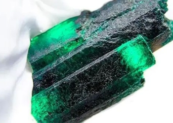 canh giant emerald dragon largest in the world 124127