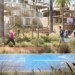 carbon free walking city concept for 100000 people 123395