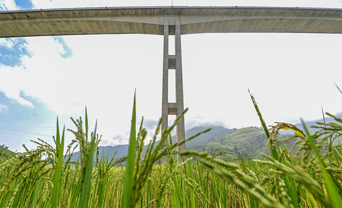The Móng Sến Bridge's main pillar stands at 83m, making it the tallest bridge pillar in Vietnam.