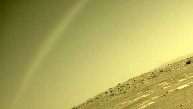 Cyanobacteria producing oxygen can be cultivated on Mars at low pressure.