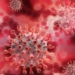 causes of cold symptoms leading to severe illness 122024