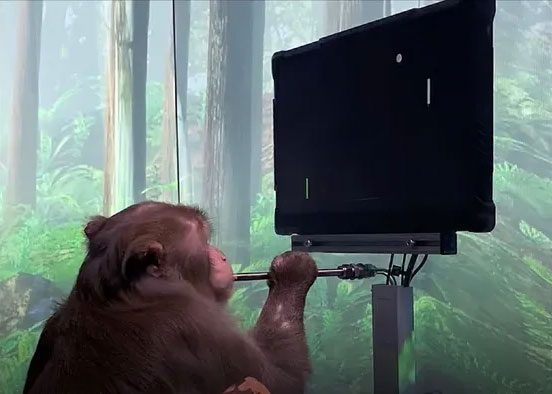 A monkey with a brain chip playing video games without a hand controller