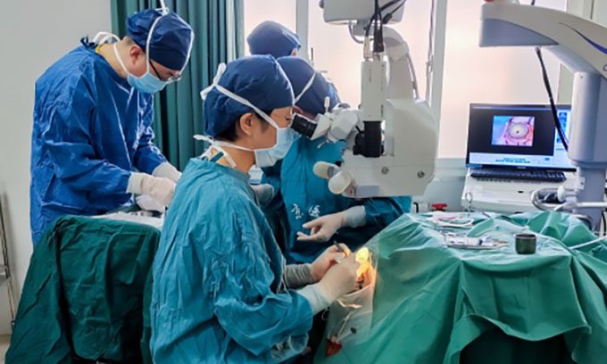 Chinese scientists conducting organ transplants from pigs to monkeys on October 16.