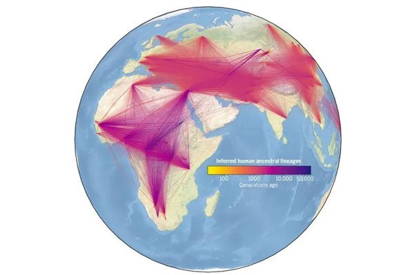 The largest family tree in the world connects 27 million people revealing interesting facts