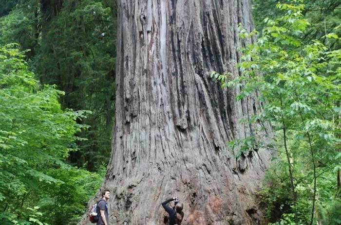 Visitors have left significant environmental damage.