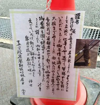 Obituary notice for the bamboo shoot