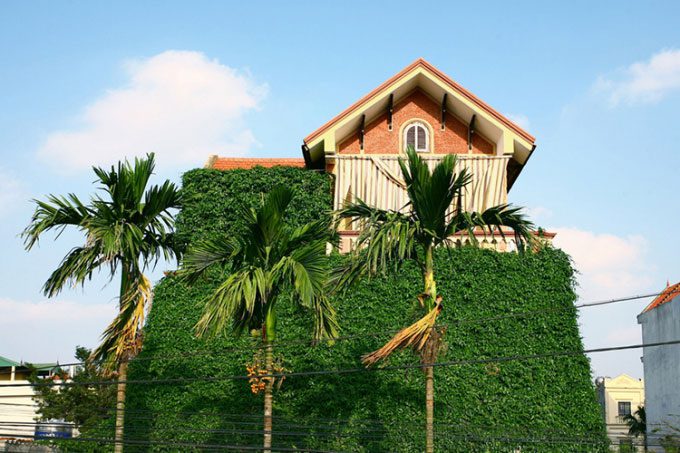 Greenery on the facade contributes to heat protection for the building.