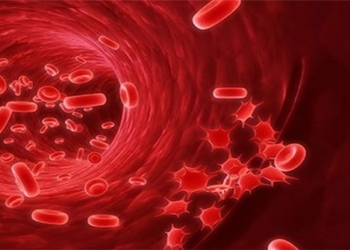 cellular repair can constantly replace how come humans still age 121501