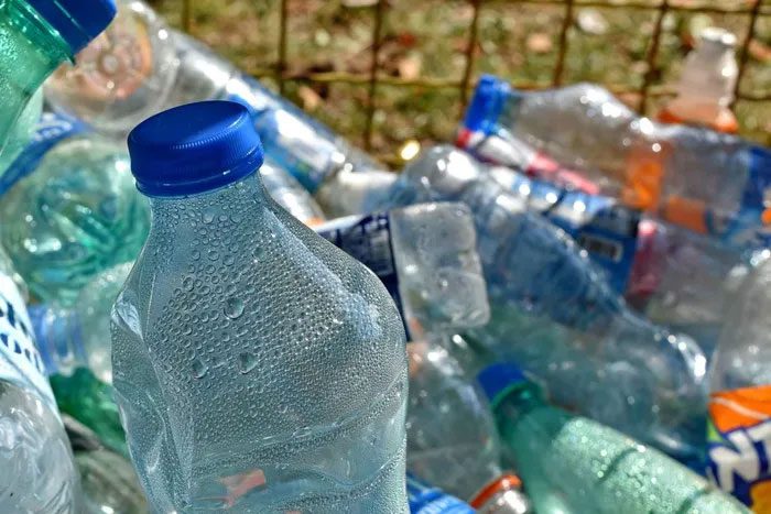 It is possible to convert plastic bottles into vanilla flavoring using genetically modified bacteria.