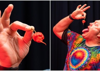 challenge eat 10 spiciest peppers in the world set a record 124056