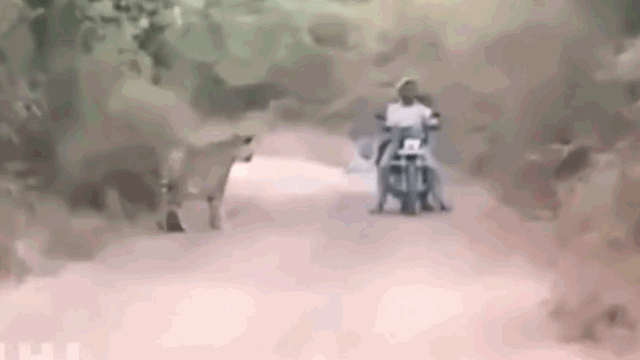 Both quickly stopped without speeding away