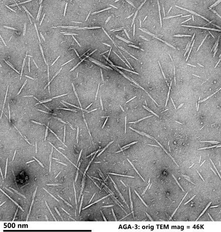 Lignin wood containing cellulose nanocrystals.