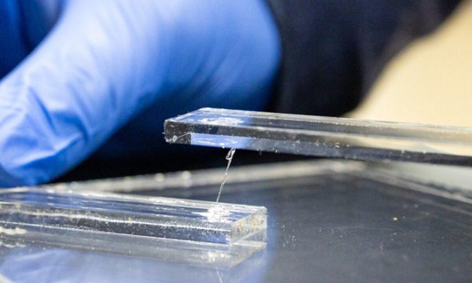 New material with strong adhesive properties.