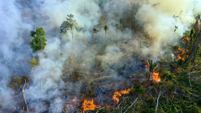 Forest fires in the Amazon.