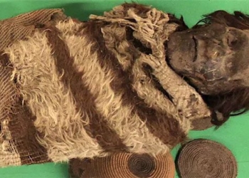 check embalming precision for virus causing epidemic 2000 years ago 118042