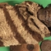 check embalming precision for virus causing epidemic 2000 years ago 118042