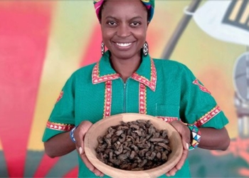 chemical engineer south africa turns insects into snacks 121542