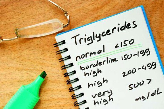 4 levels of Triglyceride blood index.