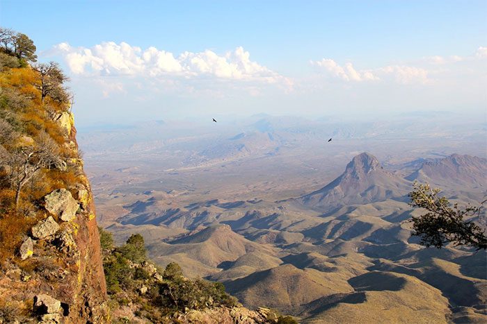 Chihuahuan Desert, Mexico - USA