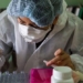 china appears new virus originating from highly lethal virus 122242