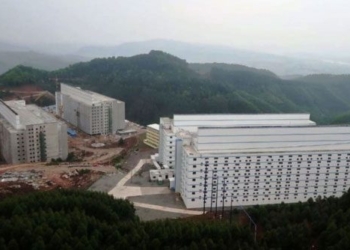 china builds 26 story building only to raise pigs 122231