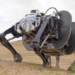 china develops bio inspired four legged robots the most advanced in the world 118345