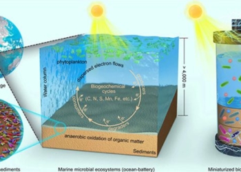 china develops seawater battery clean energy production 123553