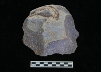 china discovers 12000 artefacts from the dao period 119542