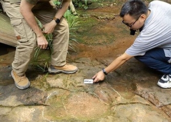 china discovers dinosaur footprint at restaurant in tu xuyen 121805