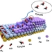 china discovers secret to carbon capture 119568