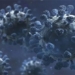 china finds way to disable omicron 118686