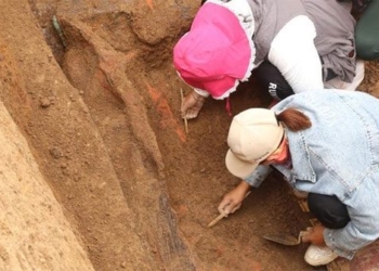 china opens more than 2400 addresses at a cemetery in ha bac 122004