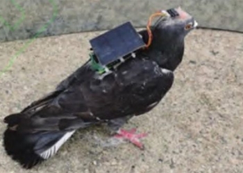 china successfully controls drones that could be used in military 123950