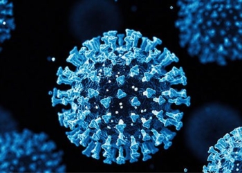 chinese experts find new corona virus 118809