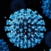 chinese experts find new corona virus 118809