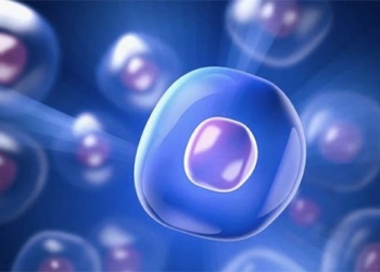 chinese research group announces discovery of age extending drug 123658