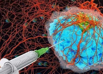 chinese scientists develop hydrogels that help burn tumors in the body 122203