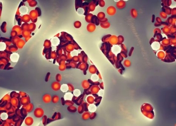 chinese scientists research blood transfusion help elderly mice live longer 120848