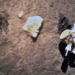 chinese submarine detected evidence of water existing on the moon 118228