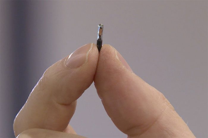 Subdermal electronic chip